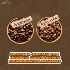 Mengapa Jumlah Kopi Robusta Lebih Banyak Dibandingkan Kopi Arabika?