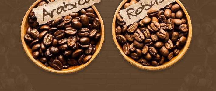 Mengapa Jumlah Kopi Robusta Lebih Banyak Dibandingkan Kopi Arabika? Mengapa Jumlah Kopi Robusta Lebih Banyak Dibandingkan Kopi Arabika?