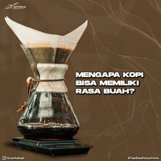 Mengapa Kopi Bisa Memiliki Rasa Buah