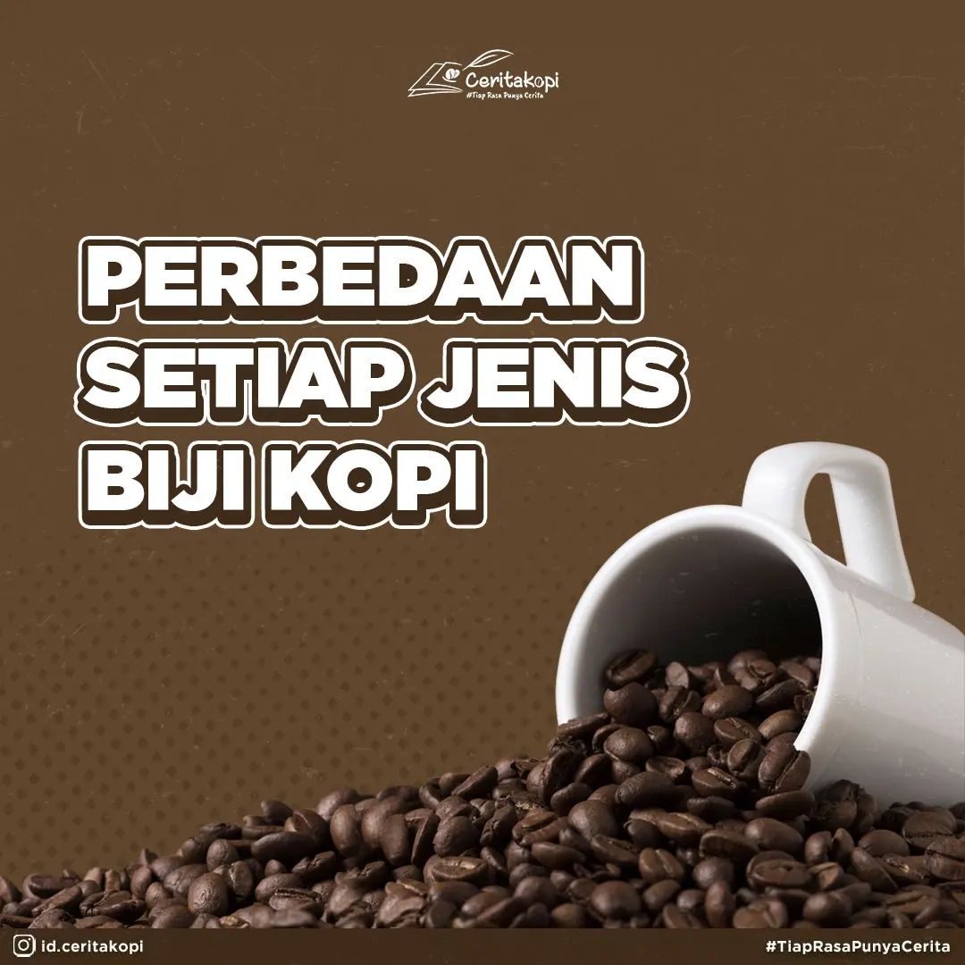 Perbedaan Varian Jenis Kopi - Ceritakopi Nusantara